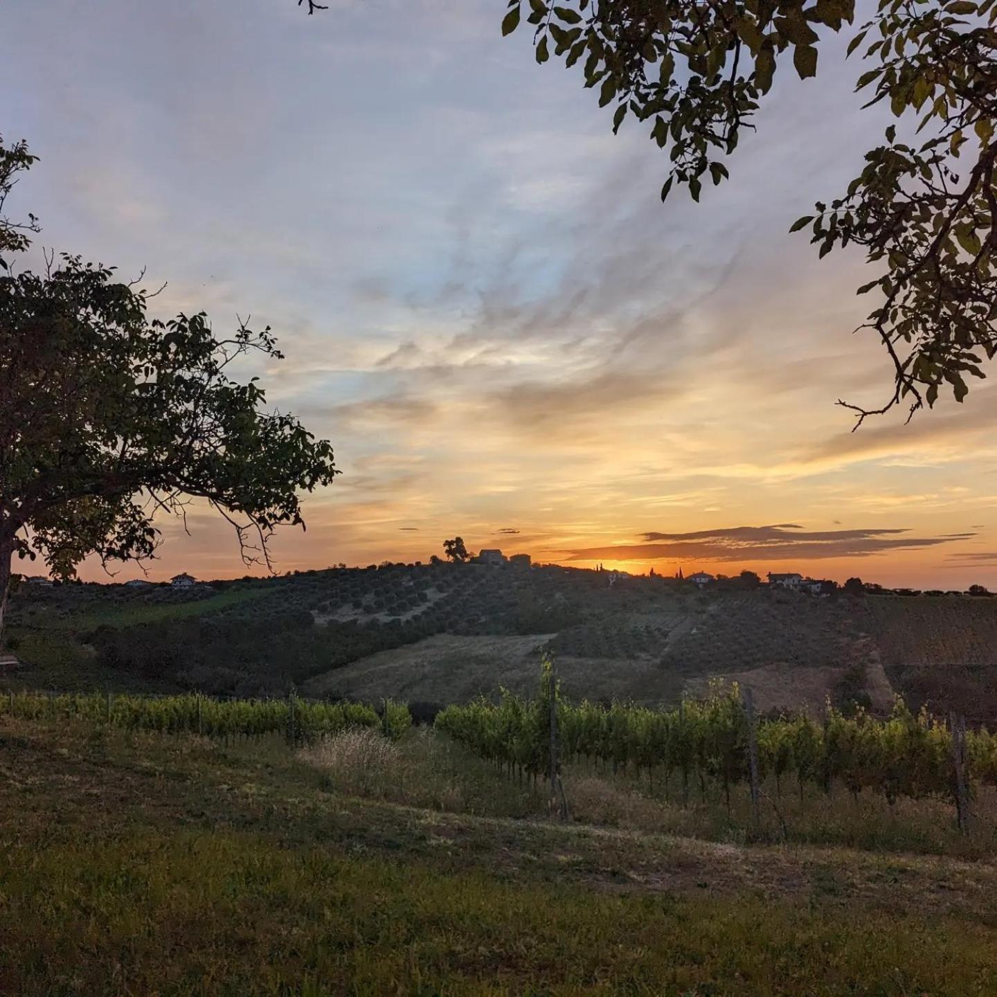 Agriturismo Torre Mannella - La Loggia Чита' Сант'Анджело Екстериор снимка